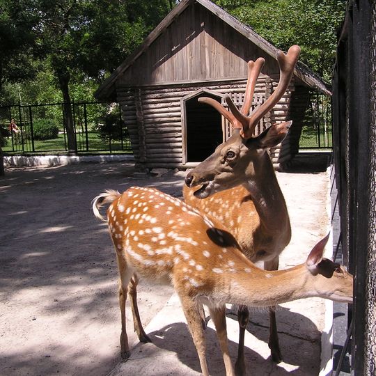 Dokuchaievsk Zoo