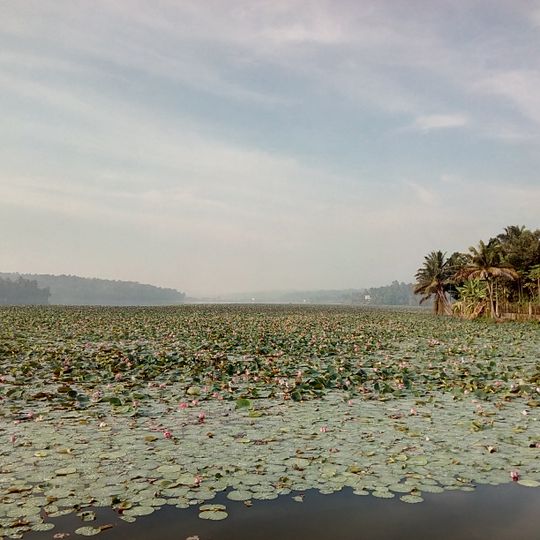 Vellayani Lake