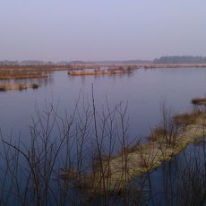 Fockbeker Moor