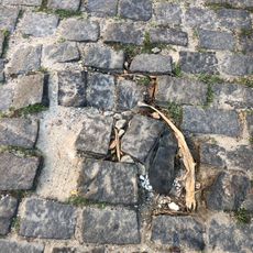 Piso de Pé de Moleque na Rua do Paraíso