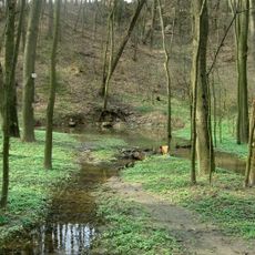 Hostěnické propadání