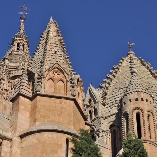 Salamanca Old Cathedral