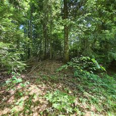 Lipowiec (Pasmo Radziejowej)