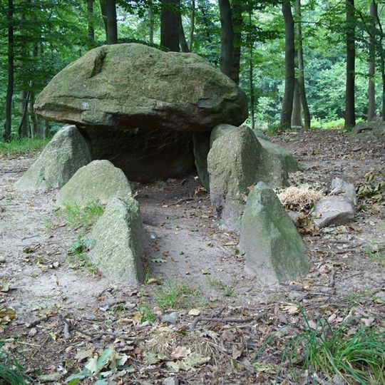 Großsteingrab Albersdorf 8