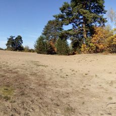 Písečný přesyp u Vlkova