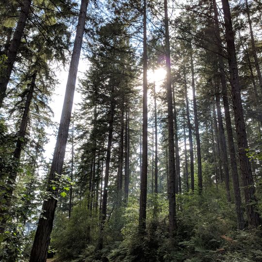 Joemma Beach State Park