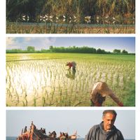 shahrestān di Rasht