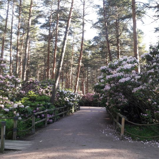 Parc des rhododendrons de Haaga