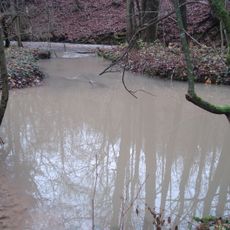 Quelltöpfe des Lauterbaches NNW von Oberlauter