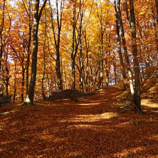 Schloßberg mit Ruine Helfenburg