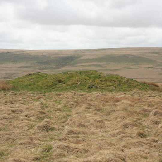 Cairn S of Royal Hill