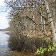 Nature reserve Jezioro Lubogoszcz