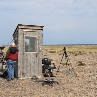 Whitefish Point Bird Observatory