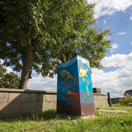 Irish Sea Underwater