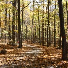 Bois de Belle-Rivière Regional Park