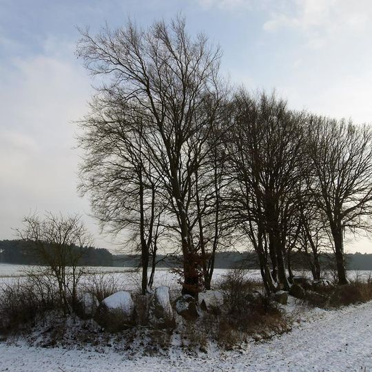 Großsteingrab Boitze