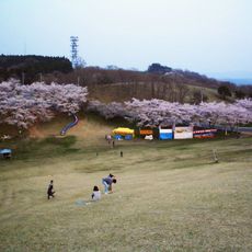 Kagobo Cherry Blossom Festival