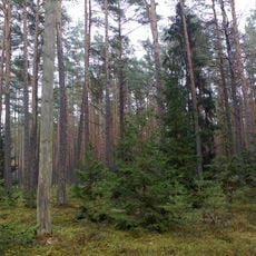 Rezerwat przyrody Ciemny Kąt