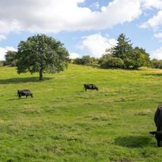 NSG Oberer Kleinenberg