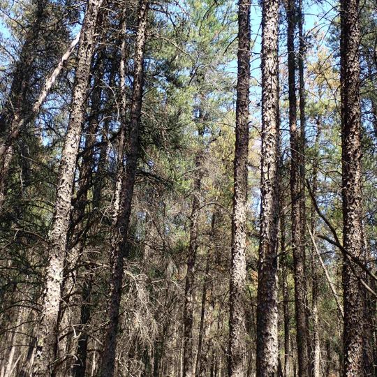 Mars Hill Wildlife Management Area