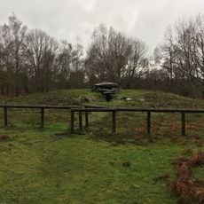 Mámoa do Rei da Chan de Castiñeiras