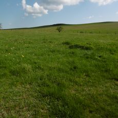 Grünland zwischen Hallenberg und Braunshausen