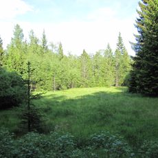 Hochmoorrest Siebensäure