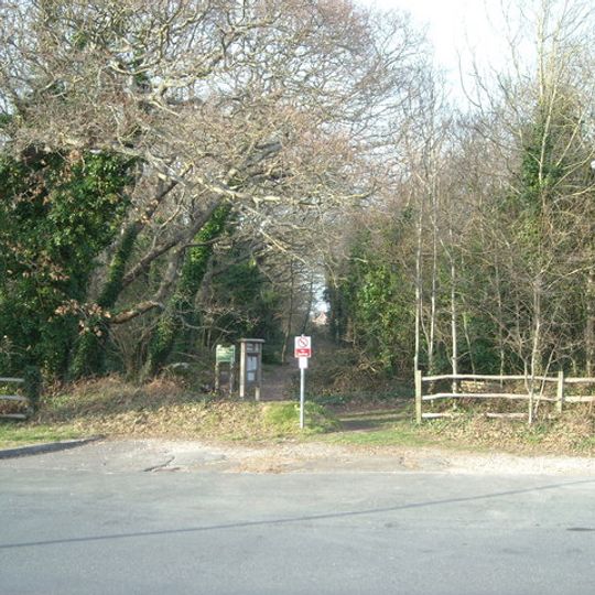 Gillham Wood