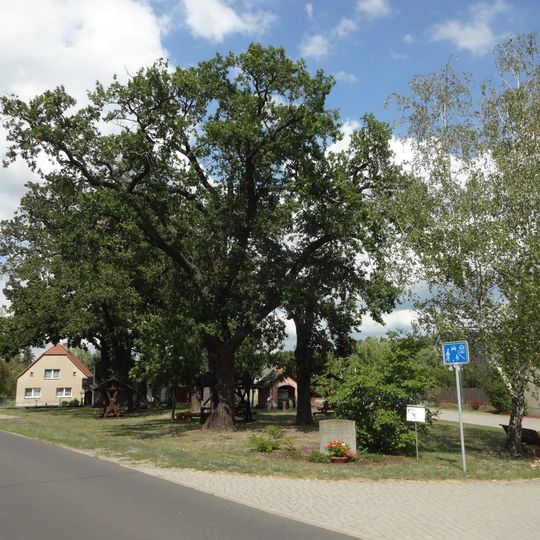 Naturdenkmal 10 Eichen am Luisendenkmal; Flur 3, Flurstück 546 in Paplitz