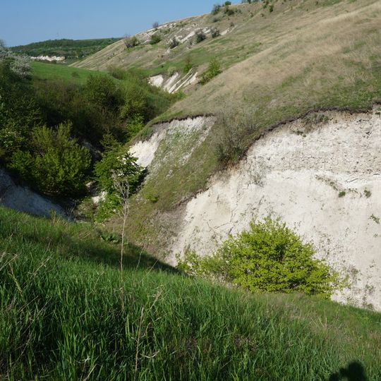 "Partea Cneazului" valley
