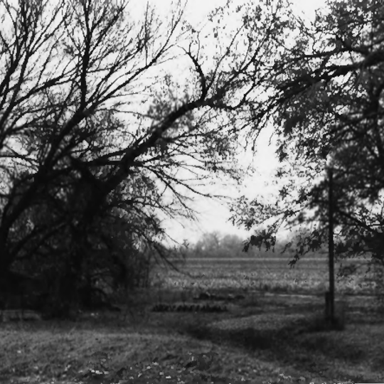 Whiteford Archeological Site