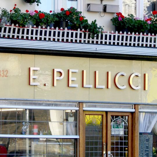 E. Pellicci