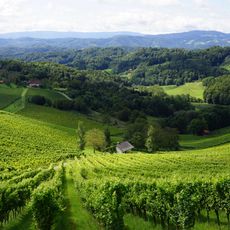 Weingut Manfred Tement
