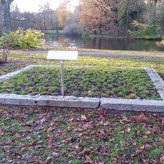 Anjerperk Vondelpark