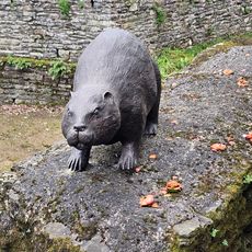 Un castor sur un mur