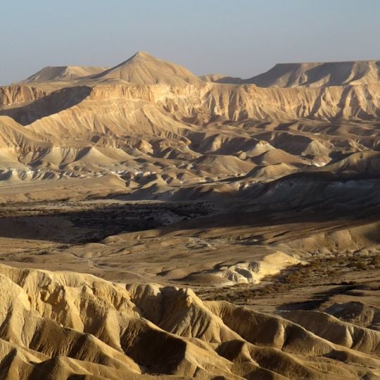 Ben-Gurion Heritage Institute