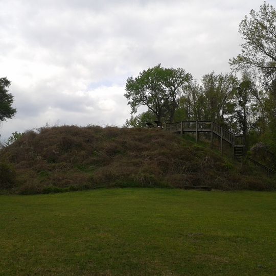 Santee Indian Mound and Fort Watson
