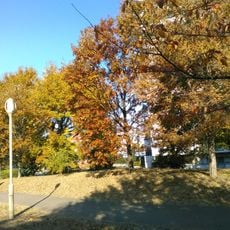 南津守中央公園
