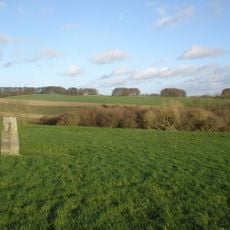Rotherley Downs
