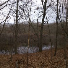 Bog at Browers Lake Nature Preserve