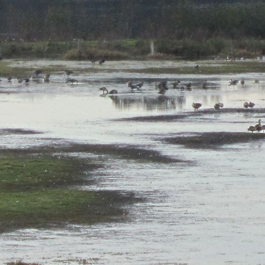 Reservebecken Alfhausen-Rieste