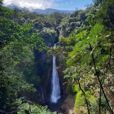 Catarata Del Toro
