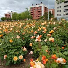 Camino de Santiago Park