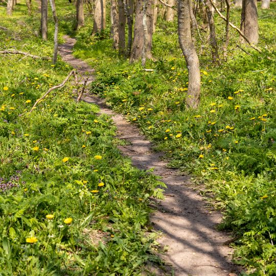 Wälder der Ostenfelder Geest