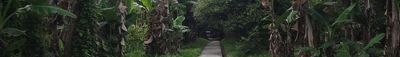 Panoramic View 0