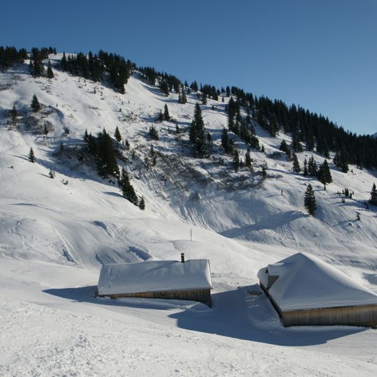 Laterns-Gapfohl