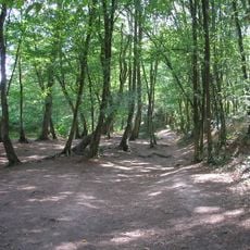 Paimpont forest