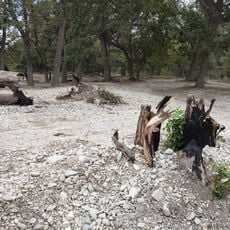 Parco nazionale di Los Novillos