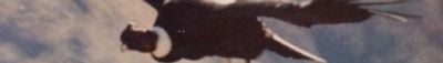 Panoramic View 1