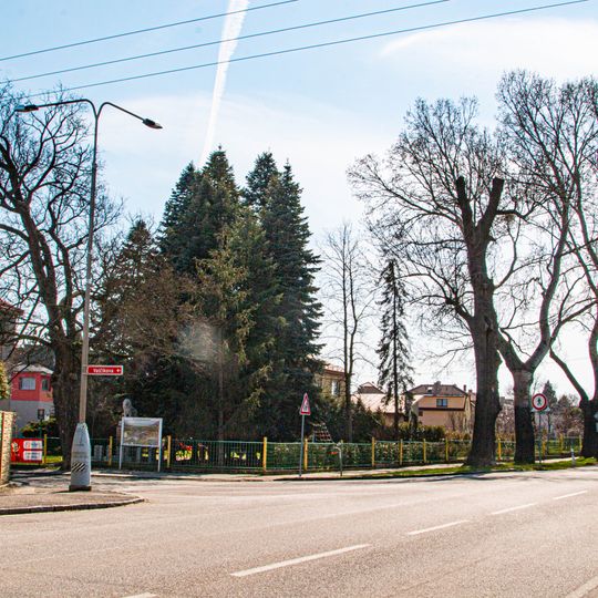 Památná babyka v Mikulovicích